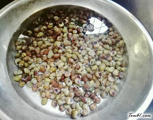 【紫苏炒石螺】