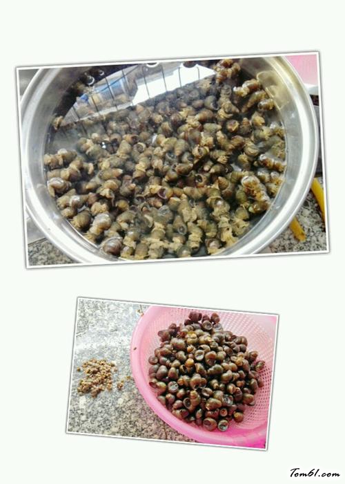 【紫苏炒石螺】