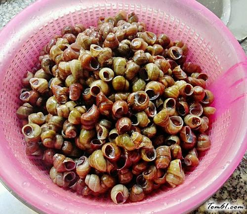 【紫苏炒石螺】