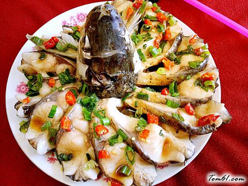 【孔雀开屏鱼】