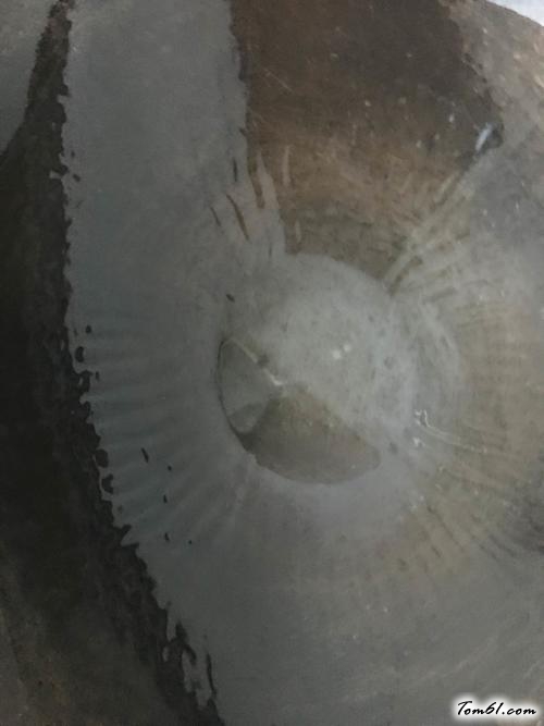 【豆芽炒韭菜】