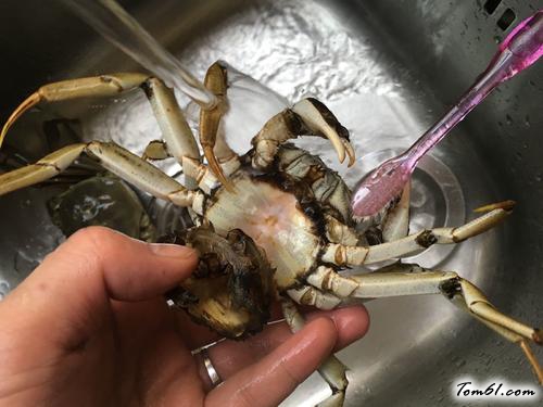 【清蒸大河蟹】