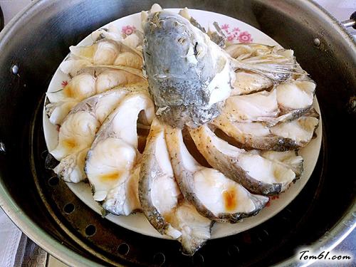 【孔雀开屏鱼】