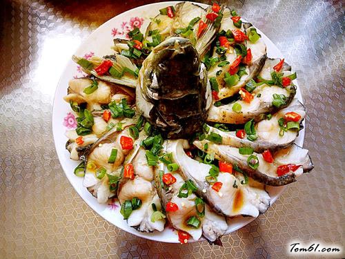 【孔雀开屏鱼】