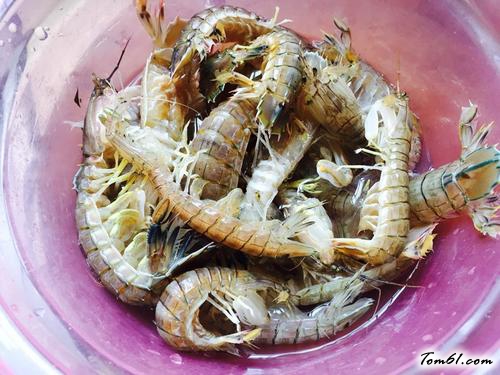 【清蒸皮皮虾】