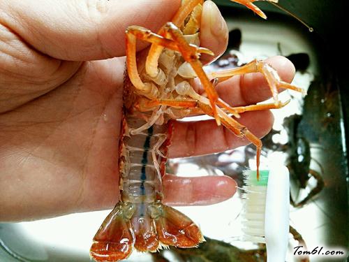 【清蒸小龙虾】