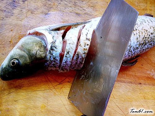 【孔雀开屏鱼】