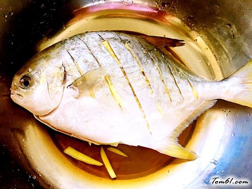 【清蒸白鲳鱼】