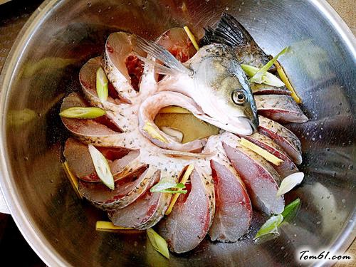 【孔雀开屏鱼】