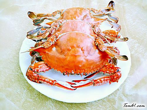 【清蒸螃蟹】
