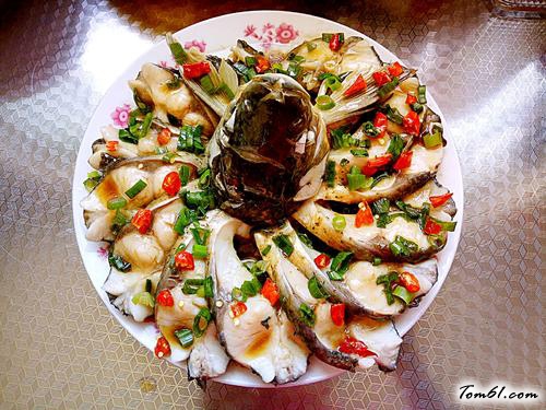 【孔雀开屏鱼】