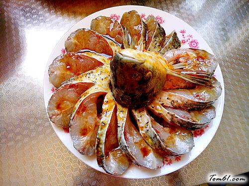 【孔雀开屏鱼】