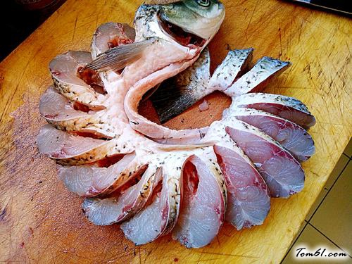 【孔雀开屏鱼】