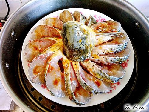 【孔雀开屏鱼】