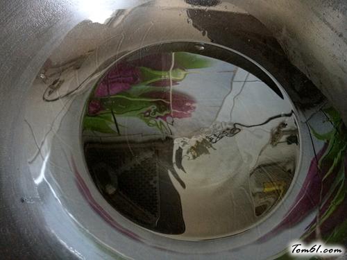 【孔雀开屏鱼】