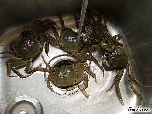 【清蒸大河蟹】