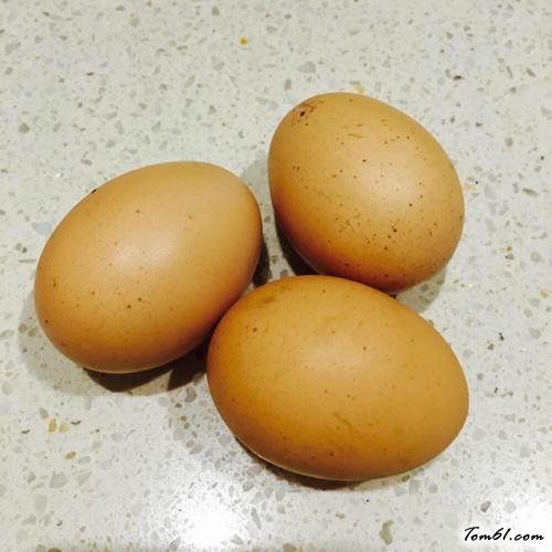 【蛤蜊恋上蛋】