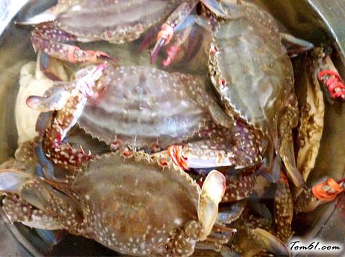 【原味版清蒸蟹】