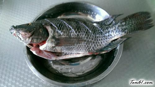 【剁椒蒸罗非鱼】