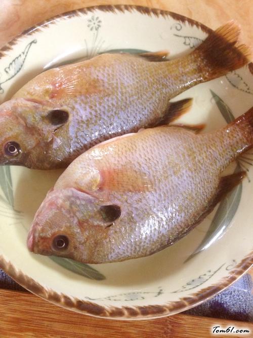 【清蒸太阳鱼】