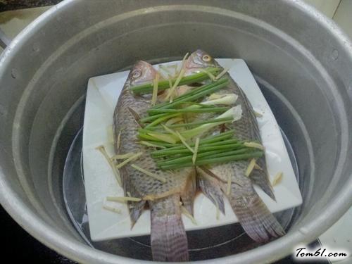 【清蒸罗非鱼】