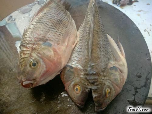 【清蒸罗非鱼】