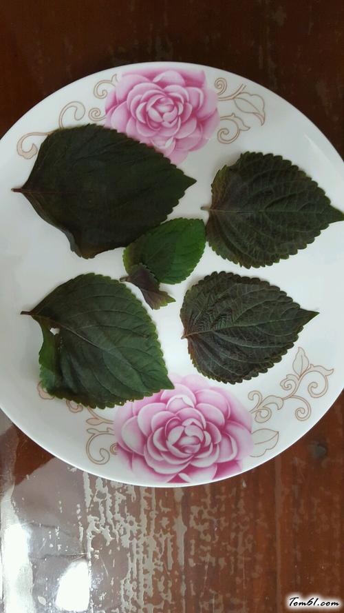 【清蒸黄花鱼】