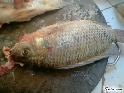 【清蒸罗非鱼】