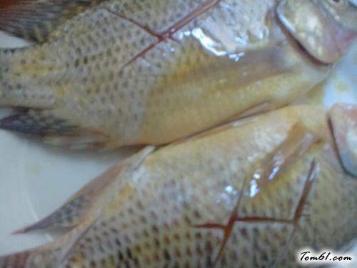 【清蒸罗非鱼】