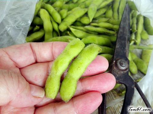 【红辣椒花毛拼盘】