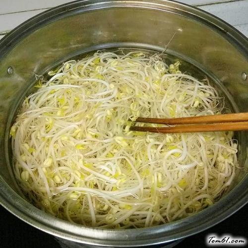 【凉拌绿豆芽】