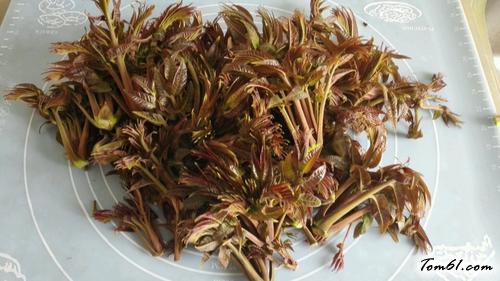 【嫩芽香椿拌黄豆】