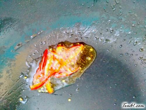 【抢拌三丝花生米】