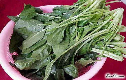 【芝麻酱拌菠菜】