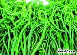 蕨菜致癌的真相,蕨菜怎么吃最安全