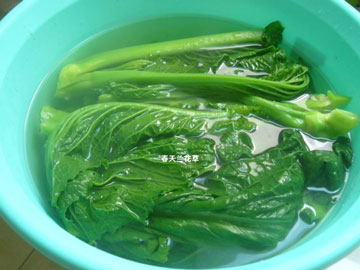湖南水捞菜的做法图解，水捞菜怎么做好吃图片2