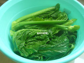 湖南水捞菜的做法图解，水捞菜怎么做好吃图片1