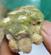 山东孙兰英西瓜酱的制作方法详解图片2