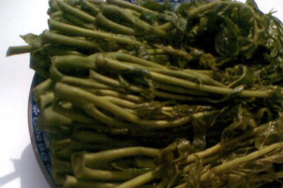 最好吃的香椿芽腌制方法，山东人是怎么腌香