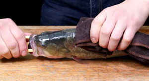 湘乳烧鲈鱼的做法，好吃到目瞪口呆的烧鲈鱼图片2