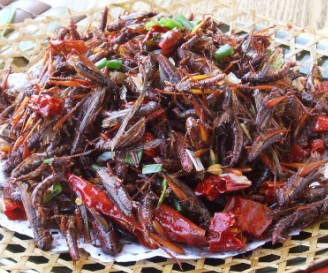 油炸蚂蚱的做法，油炸蚂蚱怎么做