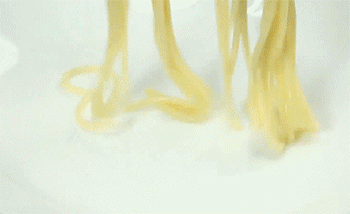 【海鲜意面】拌意面