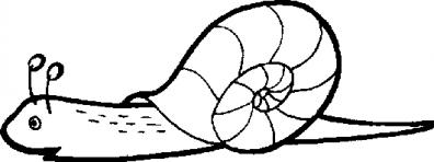 蜗牛2