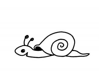 蜗牛24