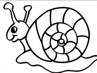 蜗牛22