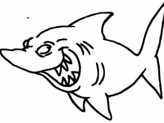 鲨鱼4