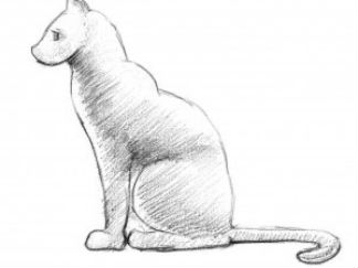小猫2