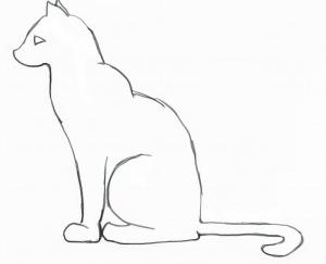 小猫27