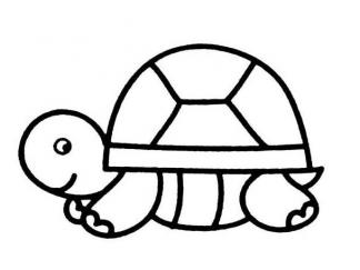 乌龟33