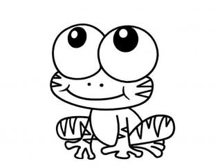 青蛙52